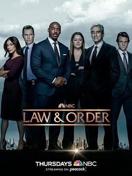 Law &amp; Order Season 22